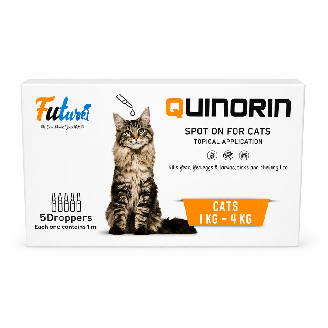 Future Quinorin Spot On for Cats (1 kg - 4 kg) - 1 pipette