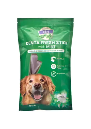 Rich Denta Fresh Stick With Mint 4 Sticks