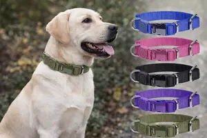 DOGNESS Teflon Collar L (2.5x44-69cm)