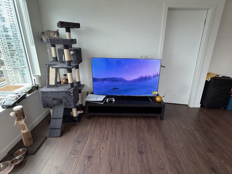 Pet Boarding — pet care service in Richmond, BC
