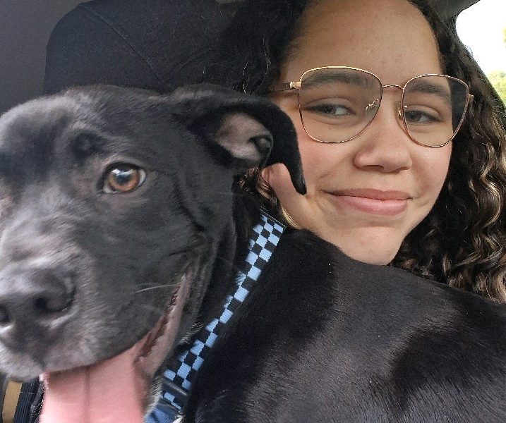 House Sitting — Housesitting and Petcare in Champlin, Minnesota
