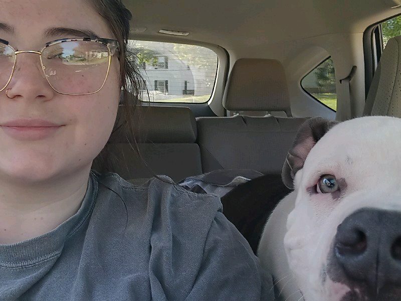 Dog Walking — Dog walking! in Struthers, Ohio