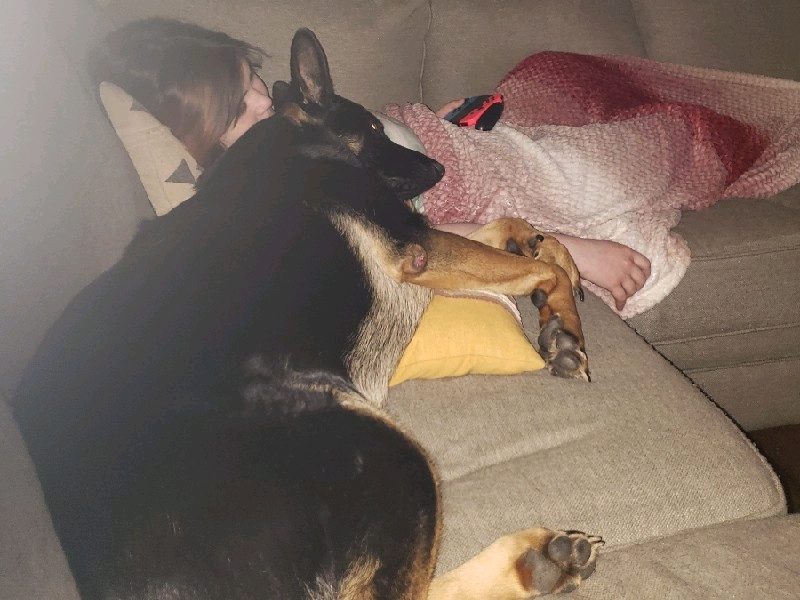 pet caregiver! – photo 3