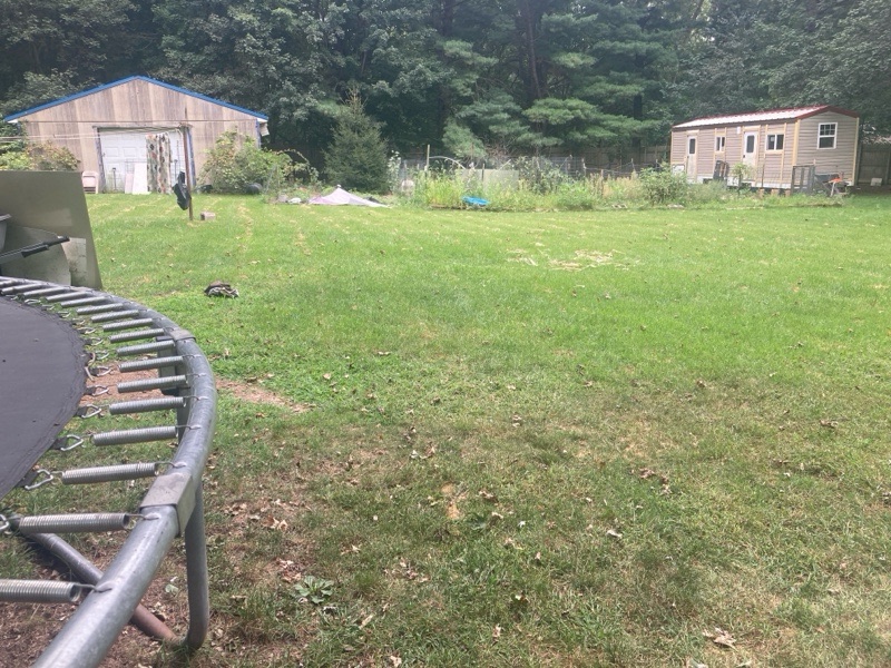 Doggy Day Care — doggy daycare in Three Rivers, MI