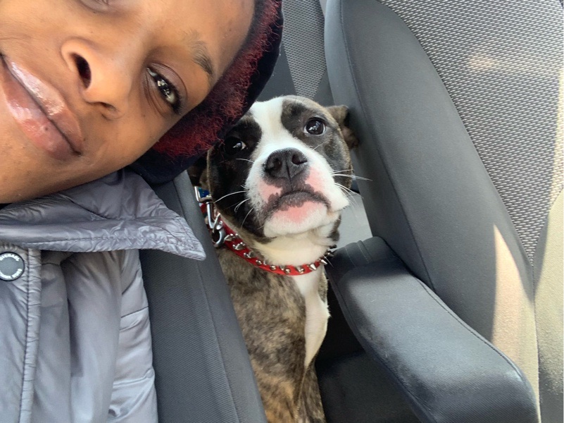 Reliable Dog Walking and Pet Sitting in Cleveland – photo 2