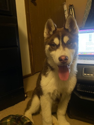 Kodak needs a loving home