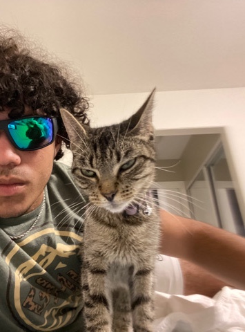 Cat: (Zuki) Needs a good home