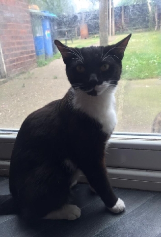 Ojos Azules – Rehoming Narla