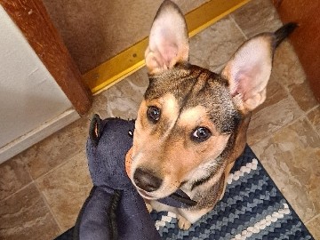 Home for Stella – Centralia