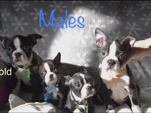 welcome me to the family 