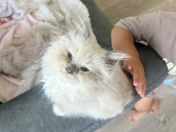 Muffin needs a home!