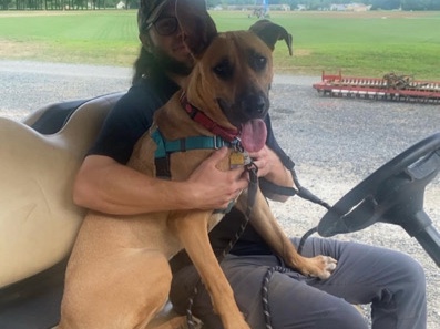 Mixed Breed – scrappy doo – Freehold