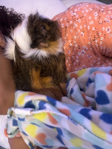 Lola
