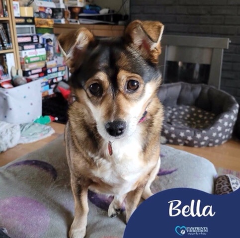 Bella