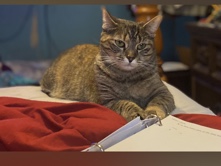 buttons needs a new home