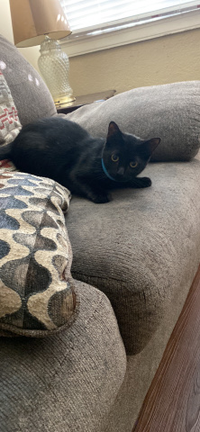 my name is coy I’m look for a very loving family