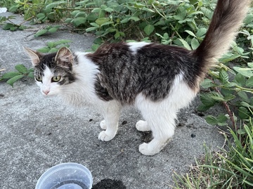Coco - Super friendly! – Tacoma