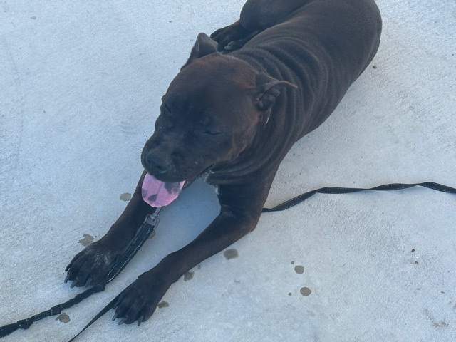 pit