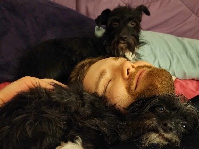 Border Terrier – Bonded Siblings, Smooch & Moon. Black terrier mixes – Franklin