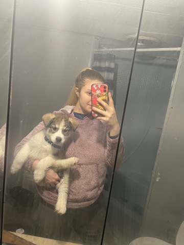 hi I’m Zeus looking for a Active family ❤️