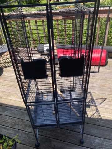 big cheap bird cage