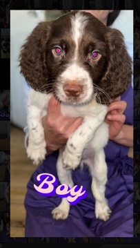 4 boys and 1 girl! Ready to go