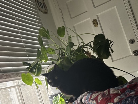 This is Gunter! – Los Angeles