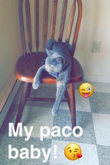 Mr Paco