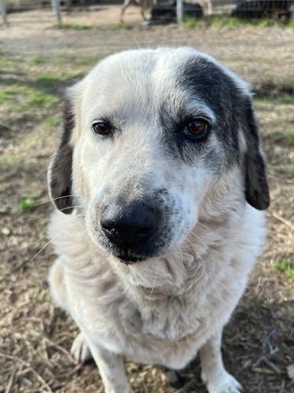 Katia looking for a home