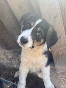 William looking for a home