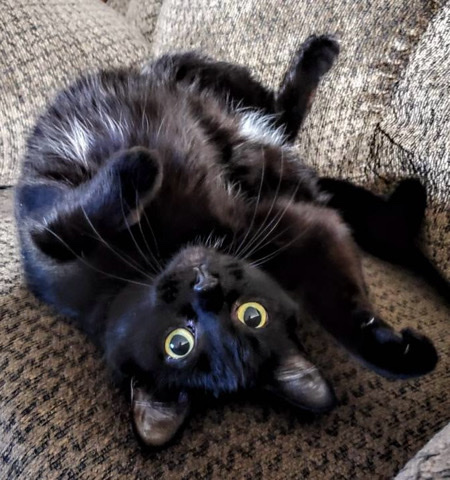 Meet Jade