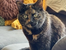 Luna ESA – Sedro-Woolley