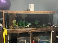 180 gallon fish tank and sump – San Diego