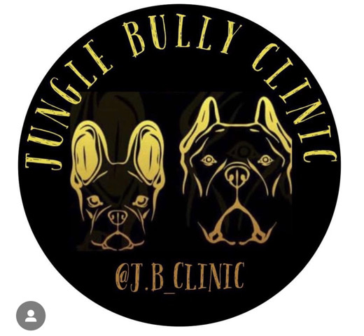 American Pit Bull Terrier – Xxl american bully puppys bossy bloodline