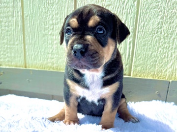 can I go home with you