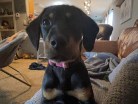 re homing rowly – Anahuac
