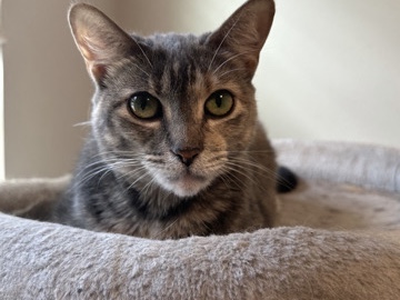 Emma – Mount Dora