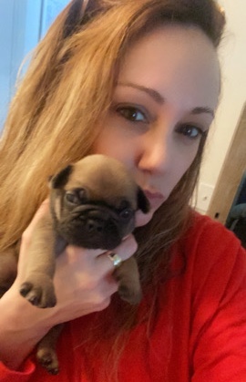French Bulldog Puppies AKC Reg.
