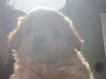pomodoodle – North Providence