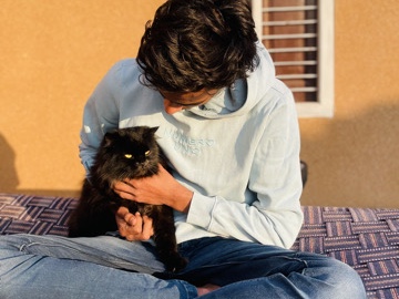 Persian (Modern) – Persian  cat – Charkhi Dadri