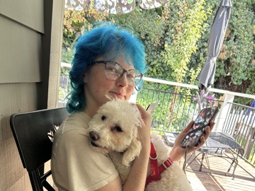 Poodle – Dog lover needed – Grass Valley
