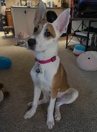 Hi. im echo. <3