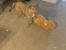 REHOME NEAR HIGHLAND – Aurora