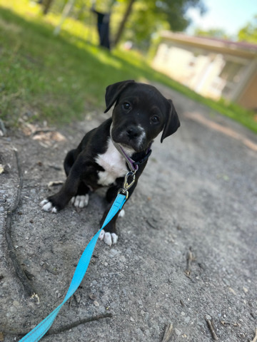 this is remy