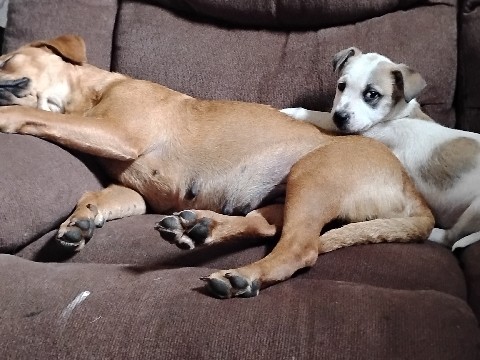 poor babies can't find a home – Meridian