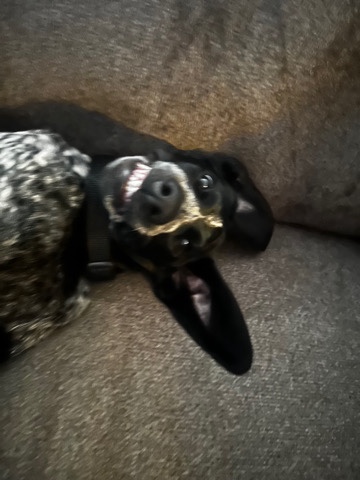 Millie