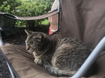 cat – Columbus