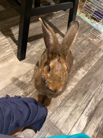 hello my name is kye