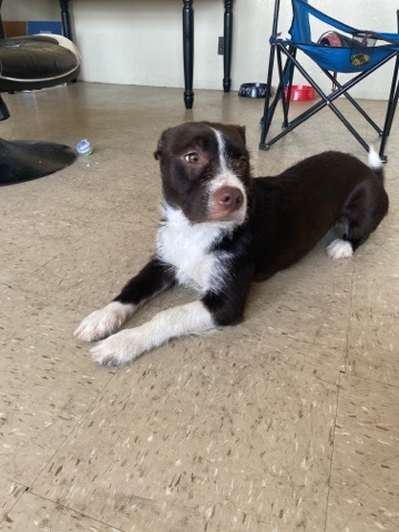 McNab – hey this is coco