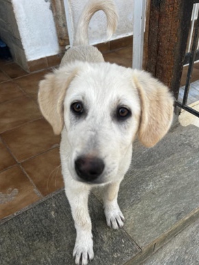 Alaska looking for a home